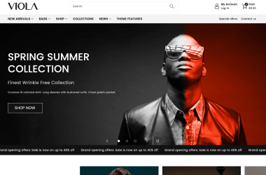 Preview-Default-Theme-Viola-Ecommerce-Website-Template