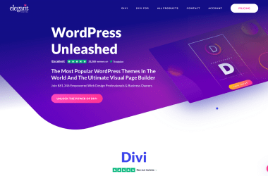 The-Most-Popular-WordPress-Themes-In-The-World